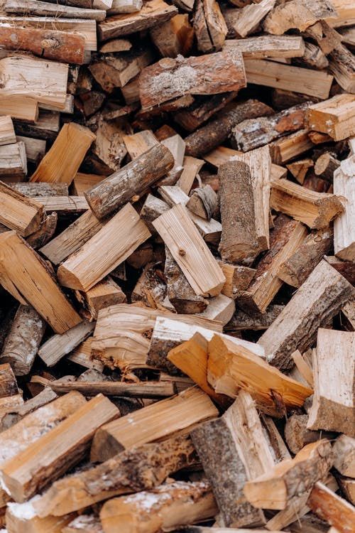 Blue gum Firewood