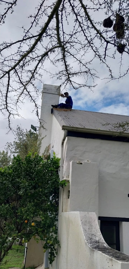 Fireplace & Roof Waterproofing Service